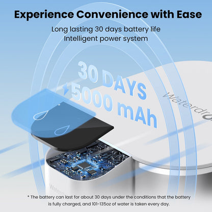 Waterdrop ED01W Countertop Electric Water Filter - 1 YEAR BUNDLE